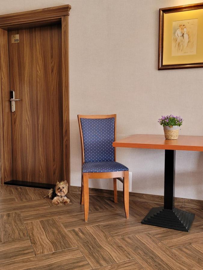 Virgo B&B Biznes Rumia Εξωτερικό φωτογραφία